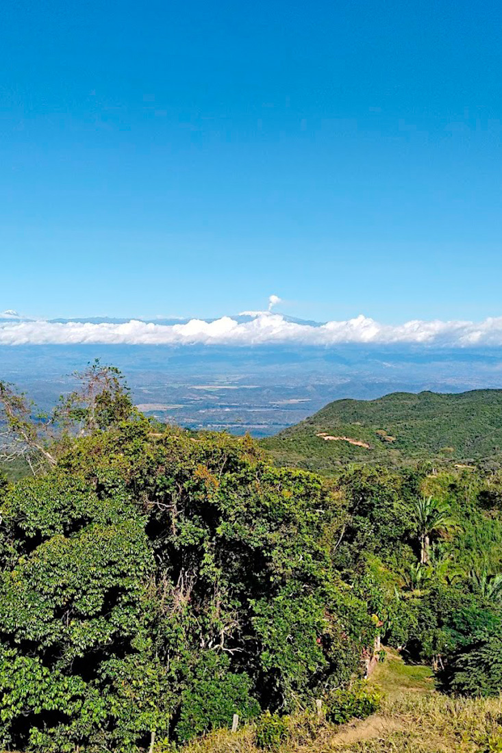 como llegar a chaguaní desde bogotá