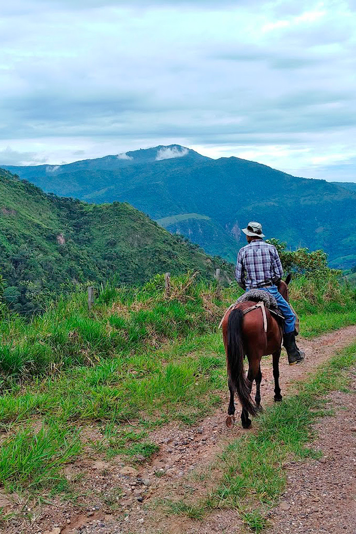 como llegar a chaguaní desde bogotá