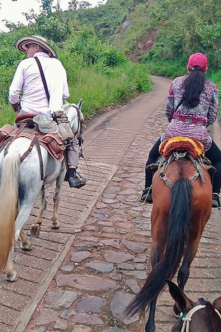 como llegar a chaguaní desde bogotá