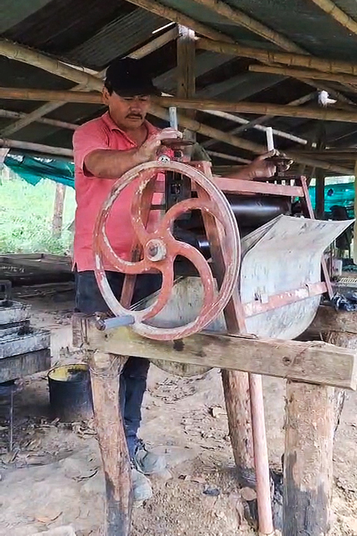 Caucho-Chaguani-Colombia-V4