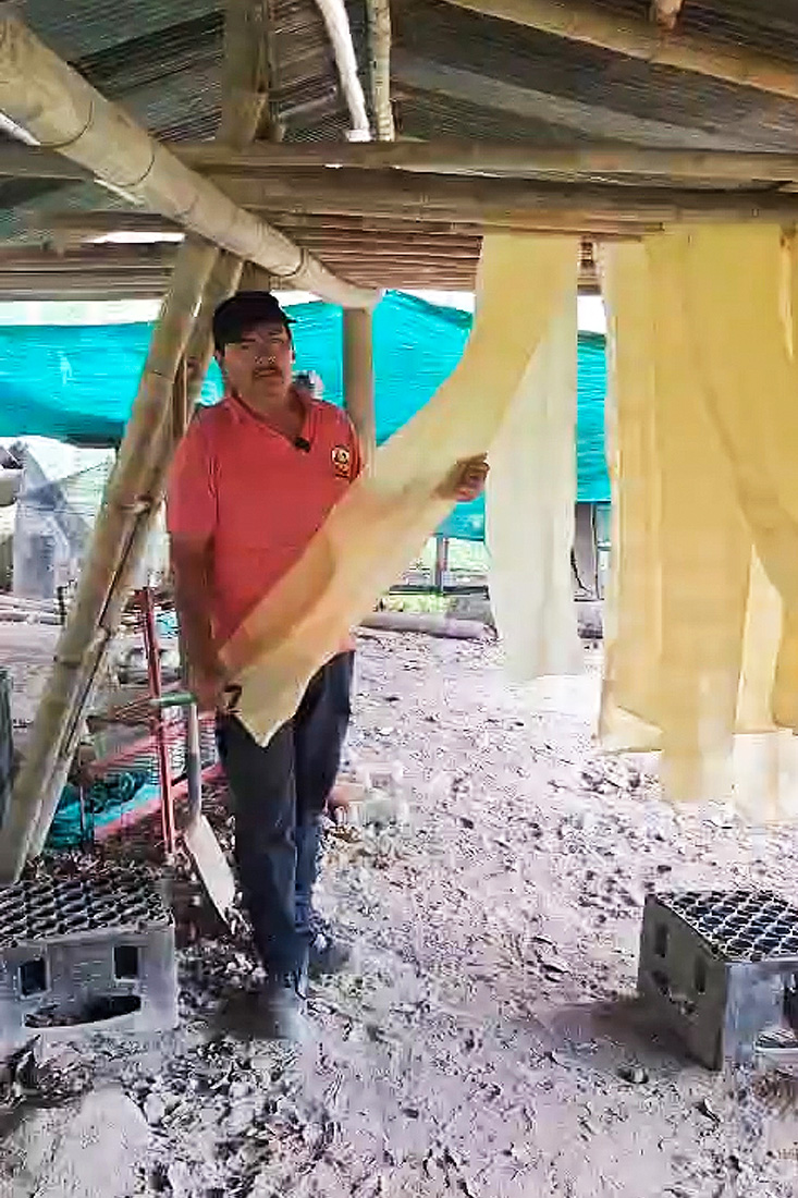 Caucho-Chaguani-Colombia-V5