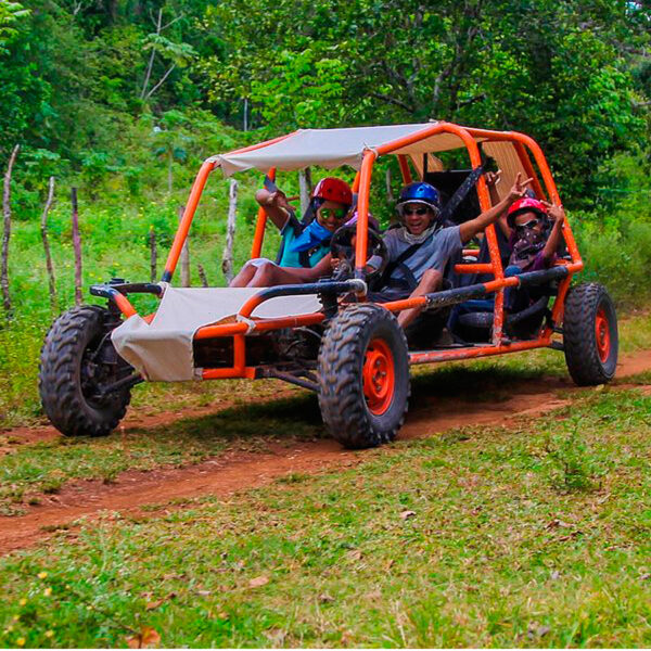 buggies-en-chaguani