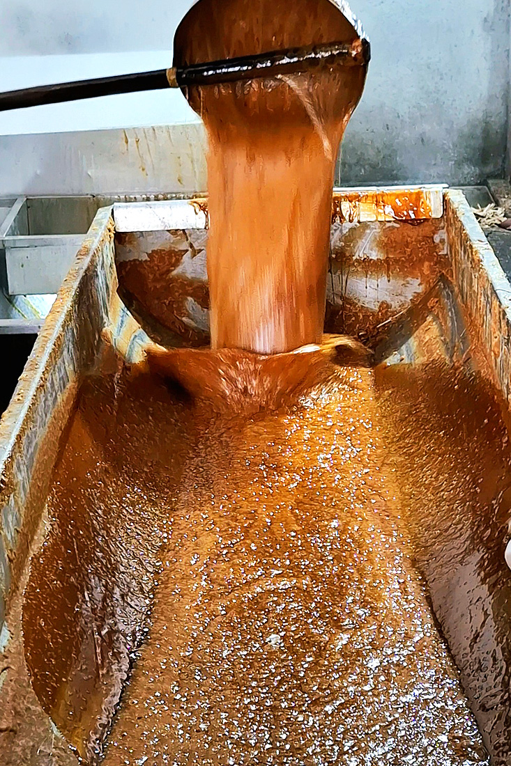 panela-chaguani-V1