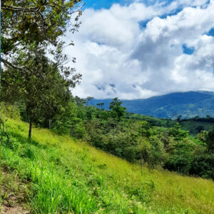 Terrenos-Chaguani-Montefrio4