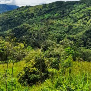 Terrenos-Chaguani-Montefrio5